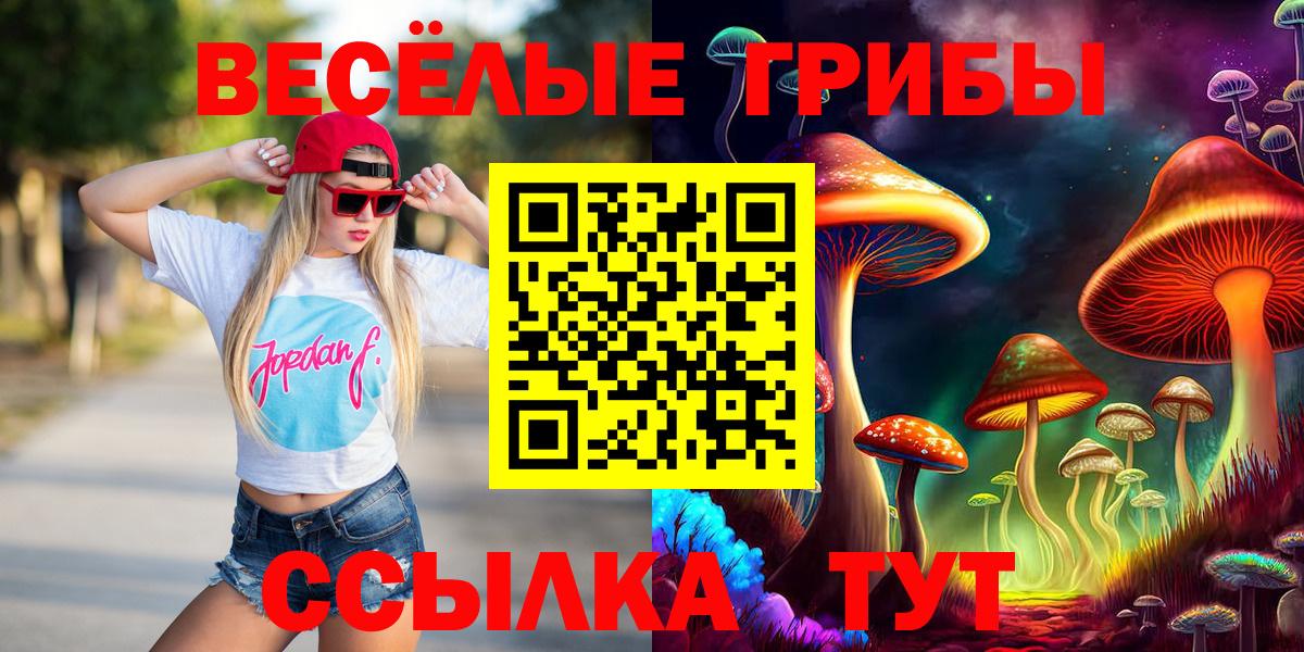 Псилоцибиновые грибы Psilocybine cubensis Курчатов